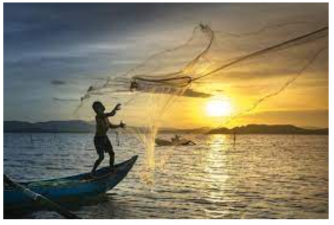 Sustainable Fishing and Marine Ecosystems