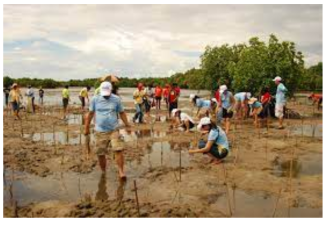 Ecosystems in a Changing World: Adaptation Strategies