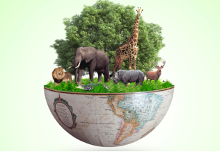 Defining Biodiversity: Concepts and Scope