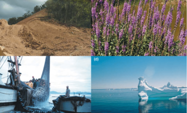 Threats to Biodiversity: Habitat Loss, Climate Change, and More