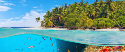 Island Biodiversity: Vulnerability and Adaptation