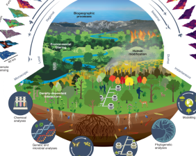 Biodiversity Informatics: Data and Technology in Conservation