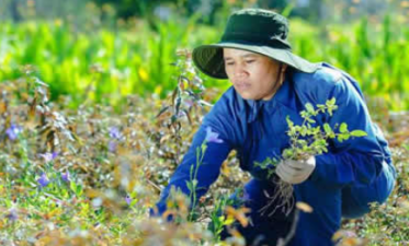 Biodiversity and Economic Valuation