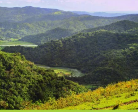 Biodiversity Monitoring and Assessment