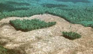 Biodiversity in Fragmented Landscapes
