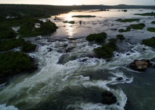 Biodiversity in River and Lake Ecosystems
