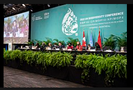 Biodiversity and International Conventions