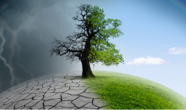 World Sustainable Development Summit 2024