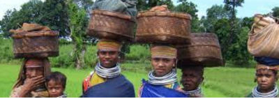 Empowering Vulnerable Tribes in Odisha and Andhra Pradesh