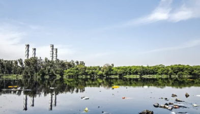 Water (Prevention and Control of Pollution) Amendment Bill, 2024