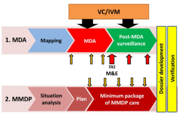 Eliminating Lymphatic Filariasis Under the MDA Campaign
