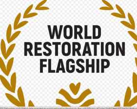 UN World Restoration Flagships