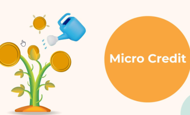 Micro-Credit Revolution for Women Empowerment