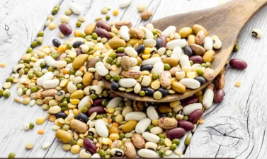 Roadmap for Self-Reliant India at Pulses Convention 2024
