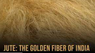 Promoting India’s Jute Sector Through Eco-Friendly Initiatives