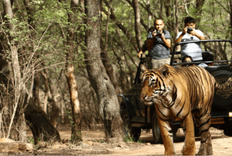 Maharashtra’s Melghat Reserve Focussed on Tiger Conservation