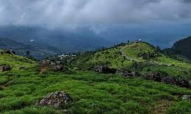 Kerala’s Ponmudi Hills Showcases Unique Biodiversity