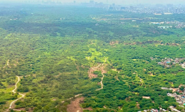 Supreme Court Judgement on Forest Diversion for Developmental Projects