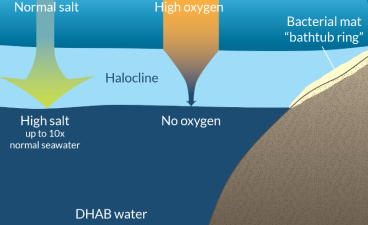 Anoxic Ocean Basins with Extremely Low Oxygen Zones