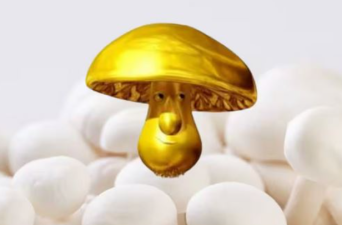 Biosynthesizing Gold Nanoparticles Using Mushroom Extracts