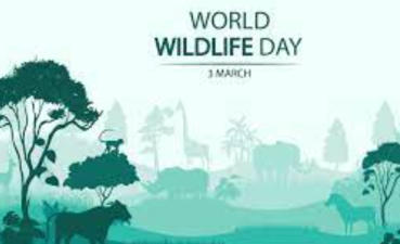 Celebrating and Protecting the Planet’s Biodiversity on World Wildlife Day