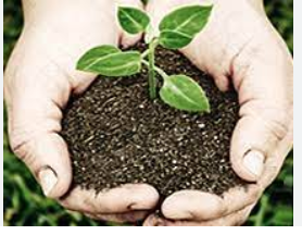 The Innovative School Soil Health Programme in India
