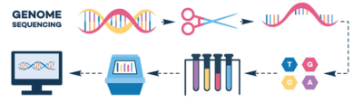 Genome India Project: Sequencing 10,000 Genomes to Revolutionize Healthcare in India