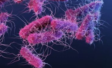 E. Coli Infections: A Growing Concern