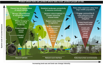 About Viruses – Ecological Roles and Pandemic Preparedness
