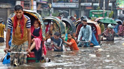 Climate Finance and Developing Countries