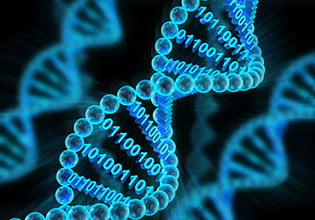 Digital Sequence Information