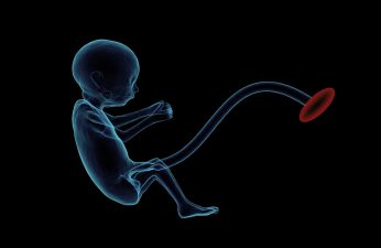 Maternal Antibodies and Malaria Vaccines