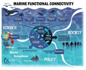 Advancements in Coastal Ocean Prediction Models