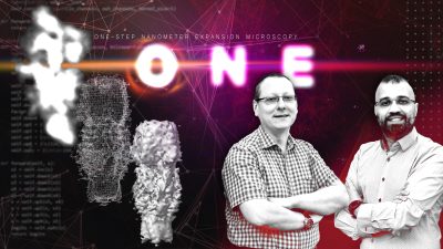 Breakthroughs in Super-Resolution Microscopy