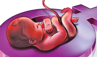 Debating Foetal Sex Detection Legalisation