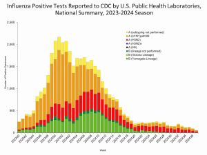 Influenza Trends and Public Health