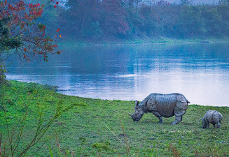 International Tourism Mart 2024 in Kaziranga