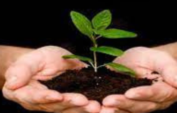 National Mission on Natural Farming Launched