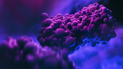 New Advances in Monkeypox Virus Detection