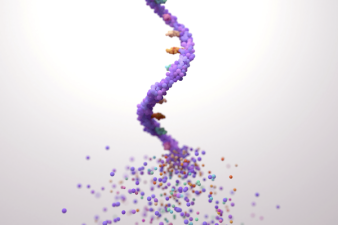 Next-Gen Leptospirosis Vaccine