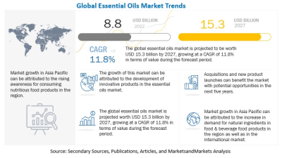 Rising Oil Production and Global Market Dynamics