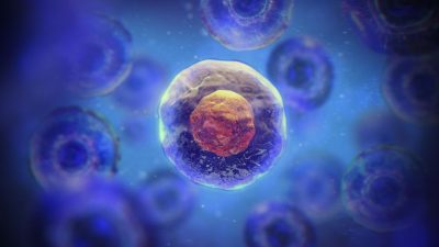 Cancer Mortality Trends in India