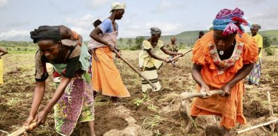 Agricultural Labourers vs Farmers – A Comparative Analysis
