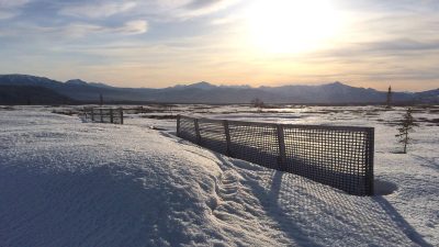 Arctic Wildfires Transform Carbon Dynamics in 2024