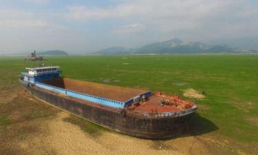 Bridge Collapse in Brazil Causes Environmental Crisis