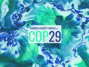 COP29 – Advancements in Carbon Markets