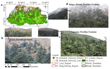 Climate Change Impact on Central Himalayan Tree Lines