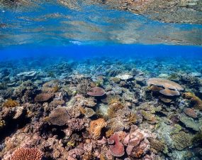 Climate Impact on Natural World Heritage Sites