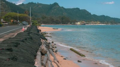 Coastal Hardening and Its Global Impact on Beaches