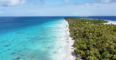 Coconut Plantations and Pacific Atoll Deforestation
